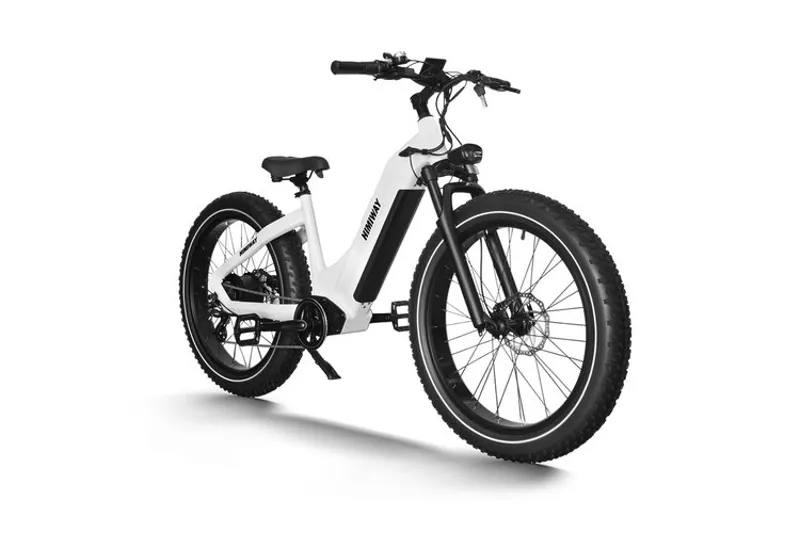 Himiway Zebra D5 Step Thru Fat Tyre Ebike-1
